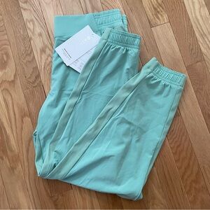 NWT Athleta Brooklyn Joggers Size 10P